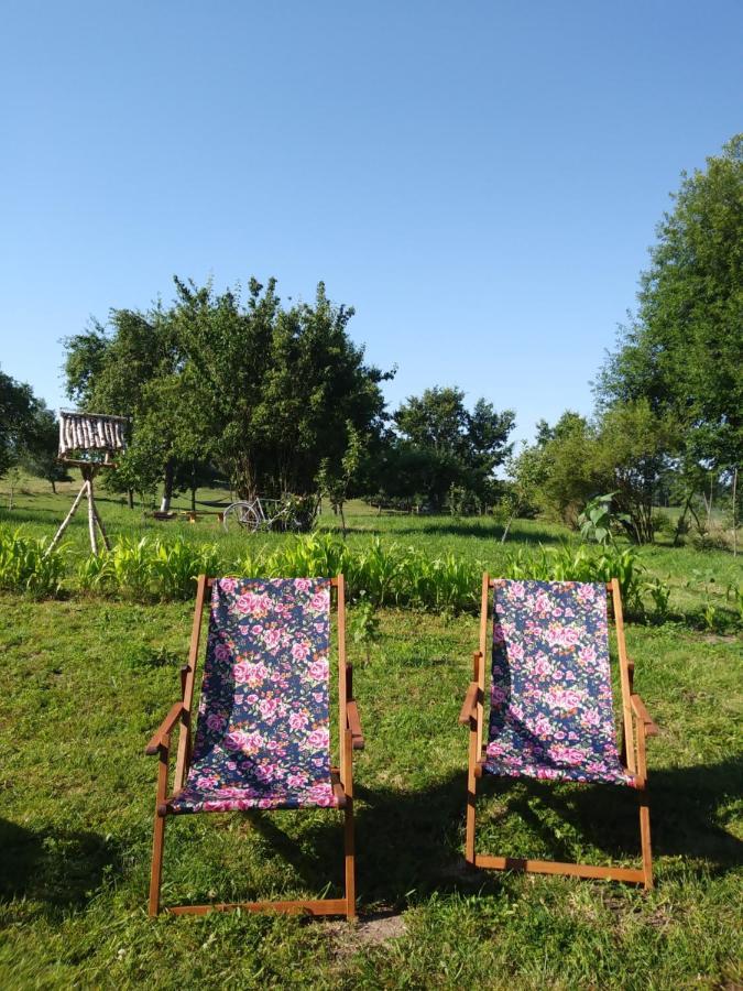 Appartement Miejsce Mocy Mazury à Kolno  Extérieur photo