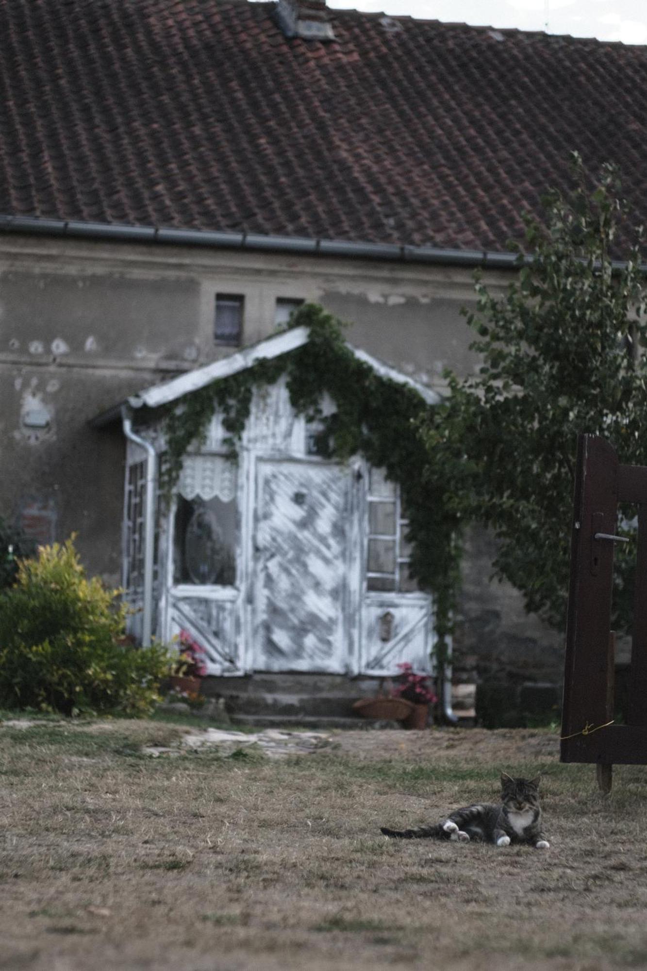Appartement Miejsce Mocy Mazury à Kolno  Extérieur photo